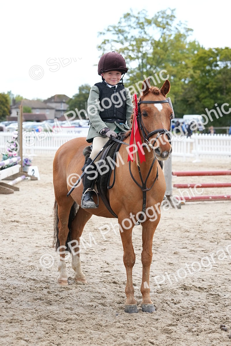 SBM_40900 - Supreme Championship Pony 50-55cm