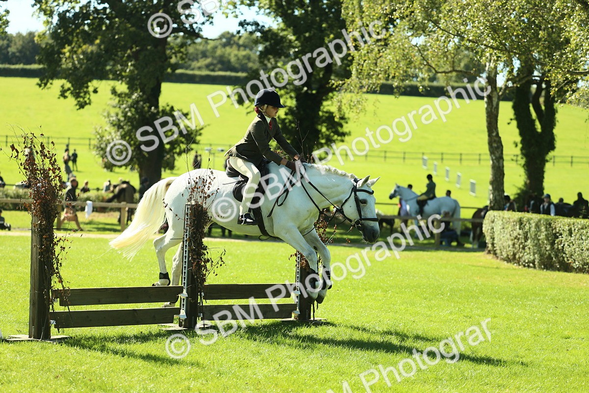 SBM_39125 - S29 - Novice & Newcomers Working Hunter Pony