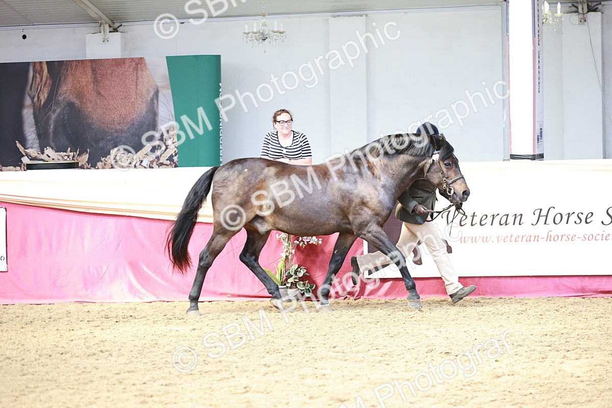 SBM_04736 - Class 7R - Regional IH Diamond