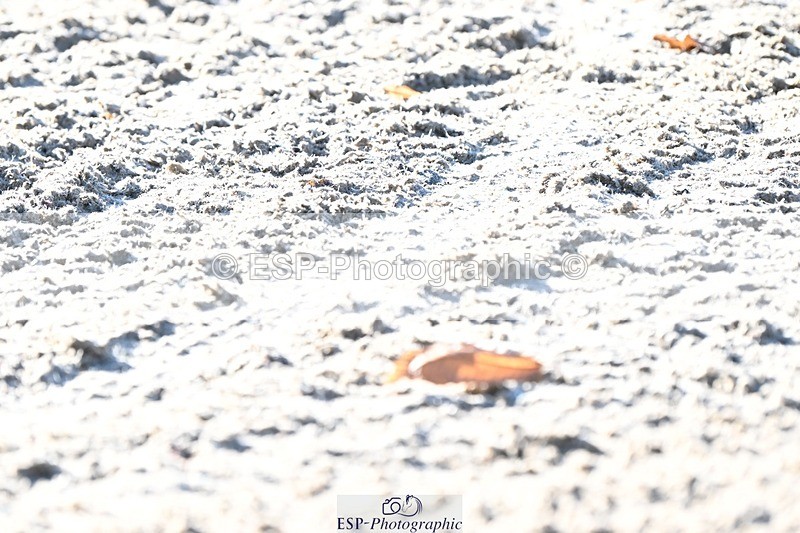 231110-110222-00296 - Cls 2 Prelim 17(a)Q