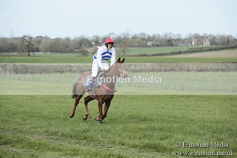 PtP 230319 376 - VWH Hunt Siddington Point-to-Point Racing 23/03/19