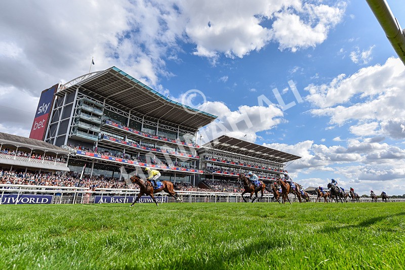 220826-Race 2-Infraad-5957 - Race 2 14.25pm Sky Bet Melrose Handicap
