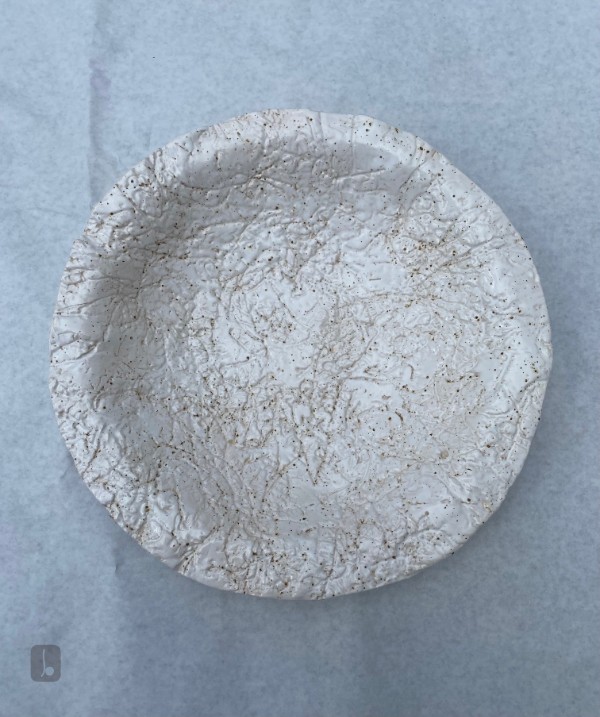 Lichen Plate - To the Edge