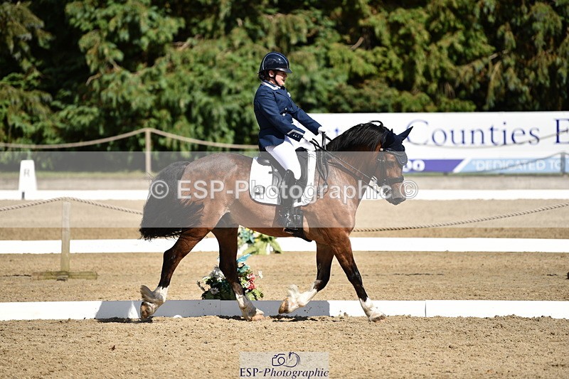 140110A-050242-12364 - 158-Alison.Crimp-Crwys.Beau