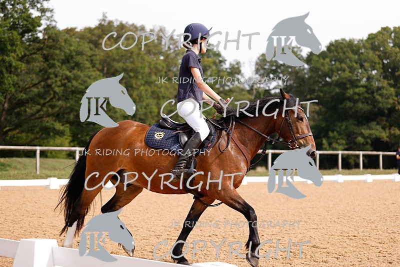 _R6A2290 - Dressage Morning
