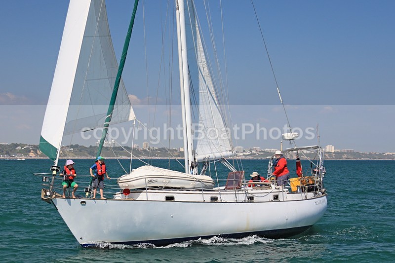 170618 SEA DRAGON 190 1Y3A7164 - Sailboats - monohull
