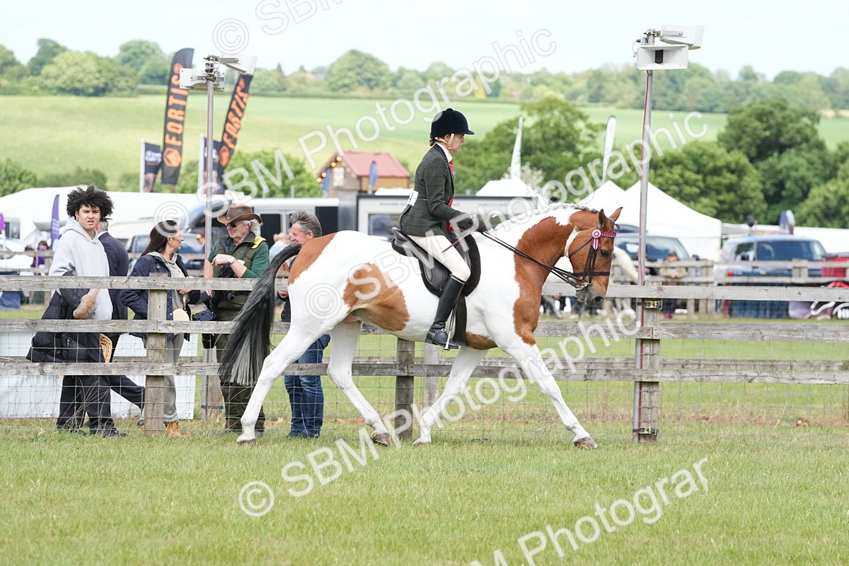 SBM_17628 - Class 107-108 - LIHS BSPS Performance Coloured Horse Pony