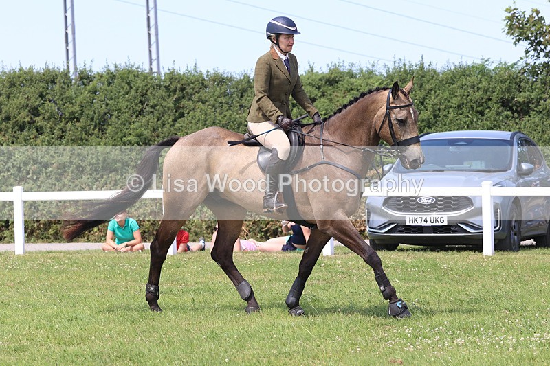 JPP_3224 - Class 22: Working Hunter 70cm