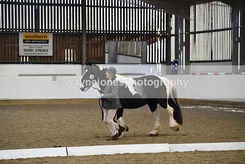 WJ5_5501 - Class 8 In hand cob