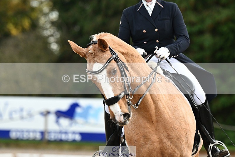 231110-153055-02229 - Cls 11 FEI PSG