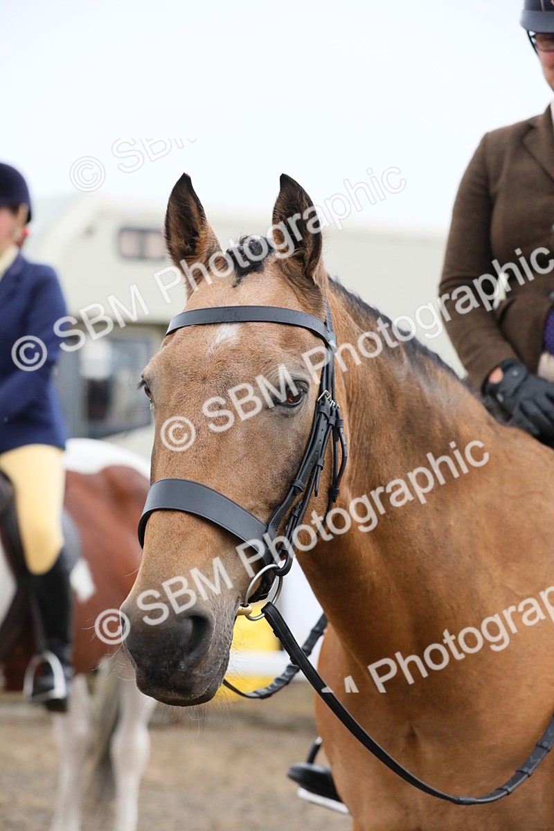 SBM_19947 - Class 801 - Ridden Veteran