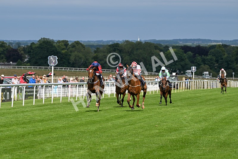 160724-Race 5-Believitanducan-9202 - Race 5
