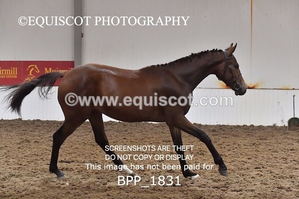 BPP_1831 - MORNING 9AM - 12PM