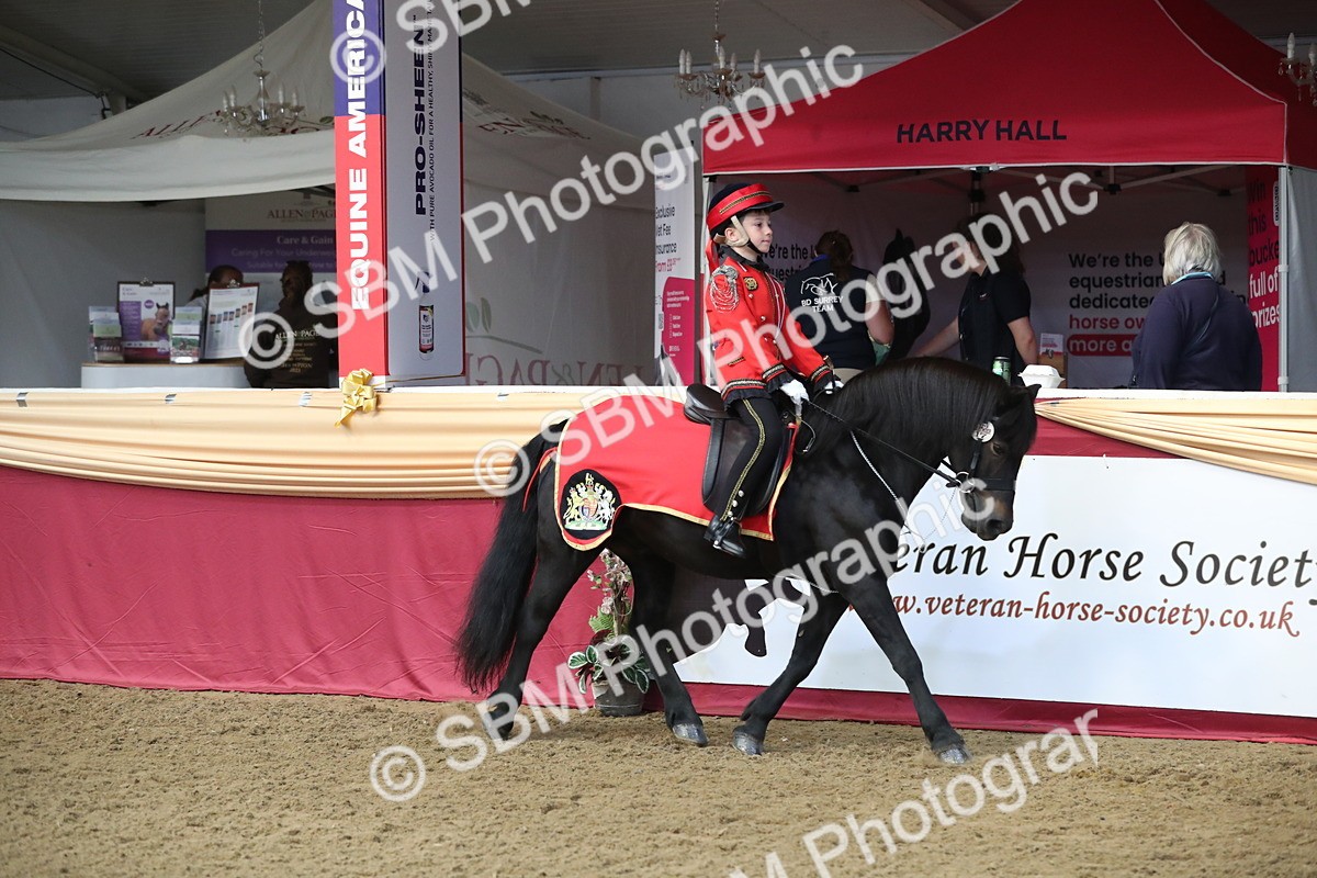 SBM_11248 - Class 104 Ridden Costume - Astride Junior