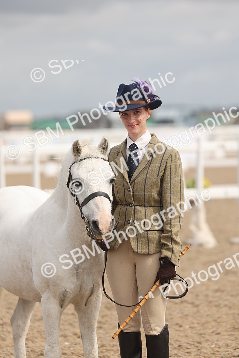 SBM_04563 - Class 19 - Horse/Pony Judge would most like to take home