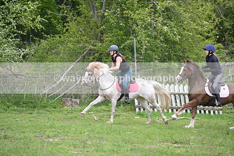 WJ6_3390 - A camera