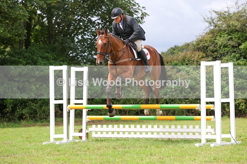 3E7A6890 - Class 5: Senior British Novice/90cm open