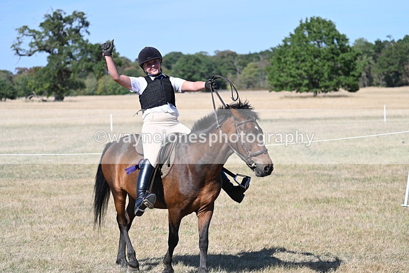 WJ7_1759 - Class 42 Most Handsome Gelding
