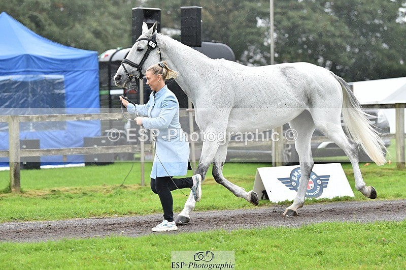 231018-123046-00340 - 042-WKD.COOLEY-Chiara.Grimaldi-TrotUp