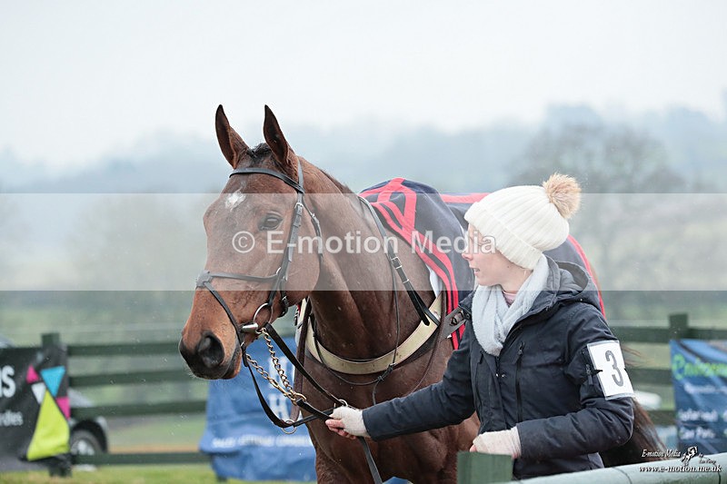 PtP 100324 468 - Pytchley with Woodland Point-to-Point Guilsborough 10/03/24