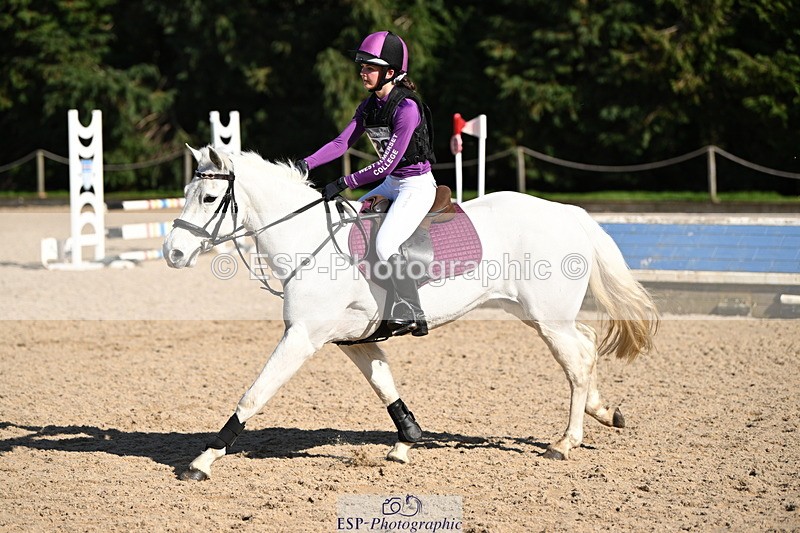 250302A-131346-02124 - Cls 02 80-85cm