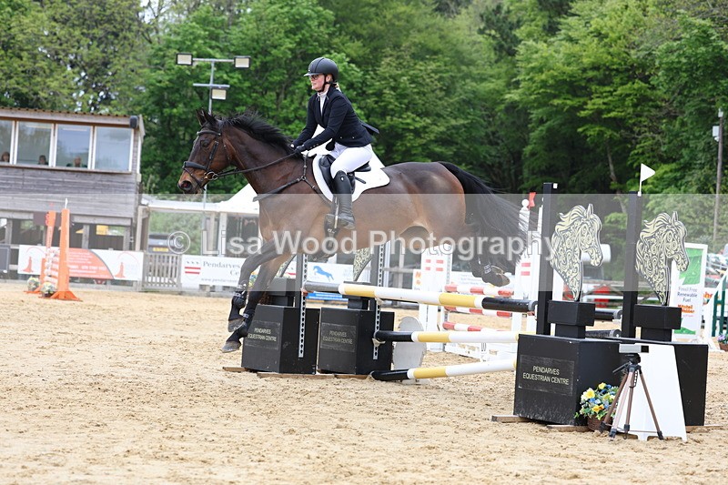 3E7A6099 - Class 4: Senior British Novice/90cm open
