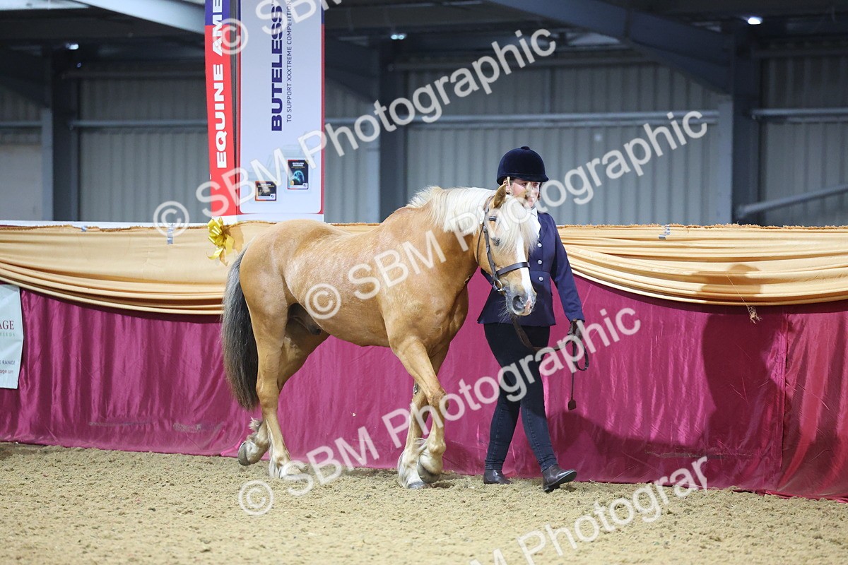 SBM_19573 - Class 901 - Supreme Final - IH Diamond