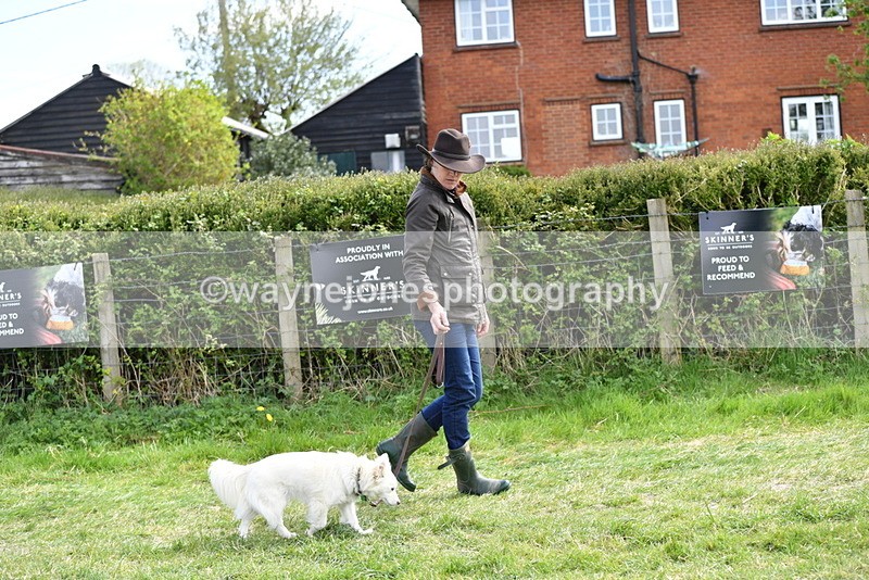 WJ5_0705 - Best in Show Championship
