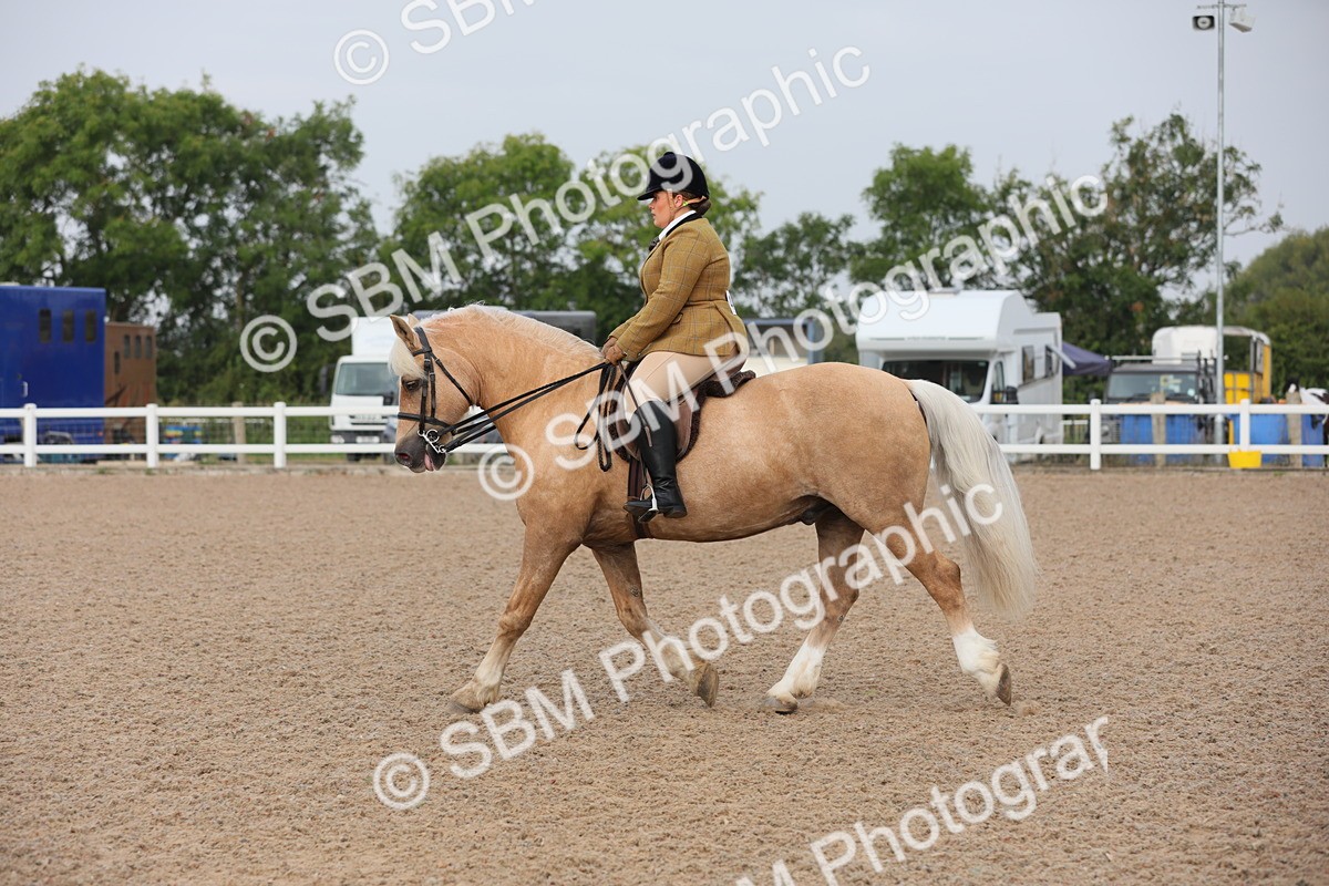 SBM_10030 - Class 302 Ridden M&M -Large Breeds