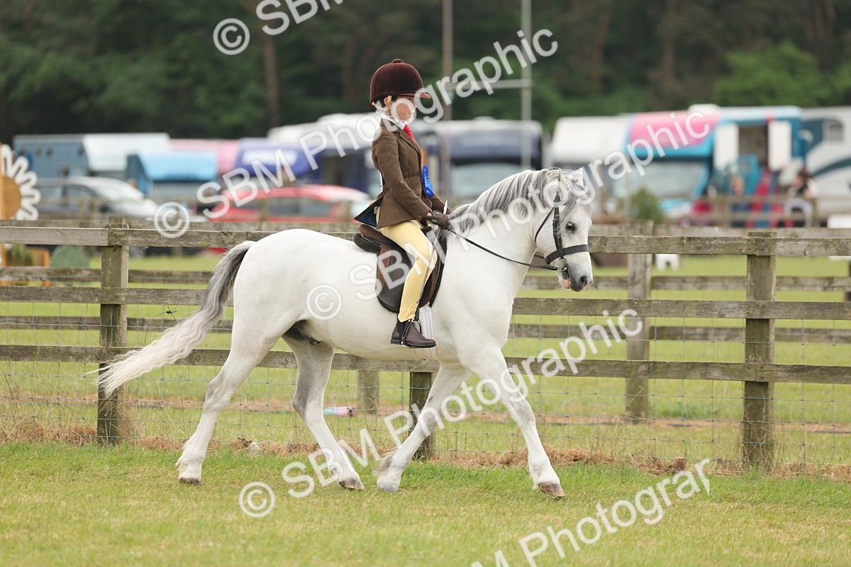 SBM_06930 - Class 74-75 - M&M Lead Rein and First Ridden Pony