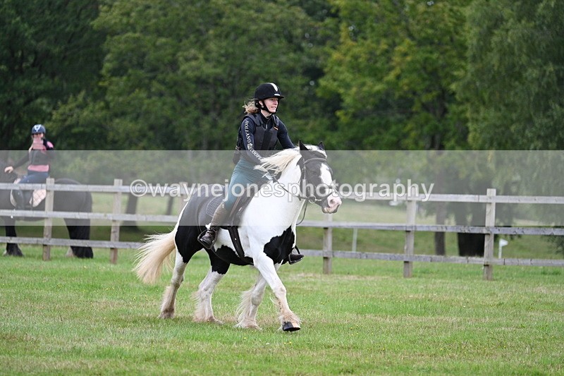 WJ7_7778 - 40cm Time 10:49 to 11:18