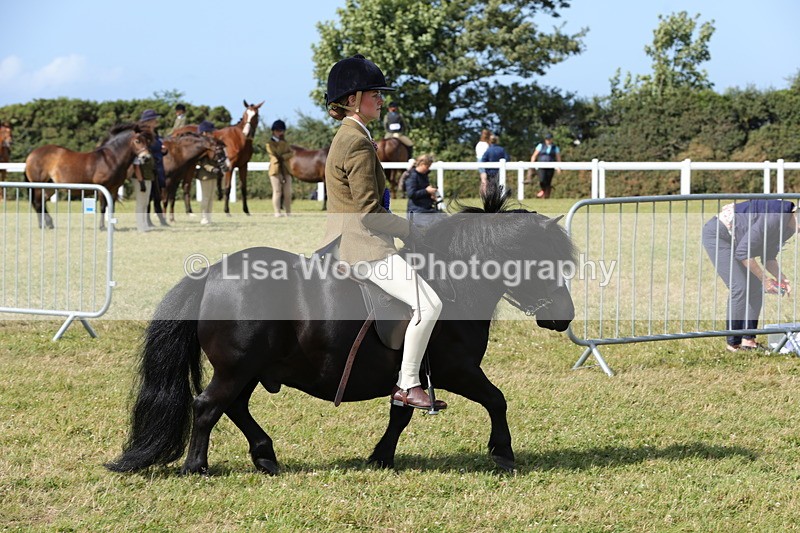 1X9A5647 - Class 39: NPS Dartmoor, Exmoor, Shetland