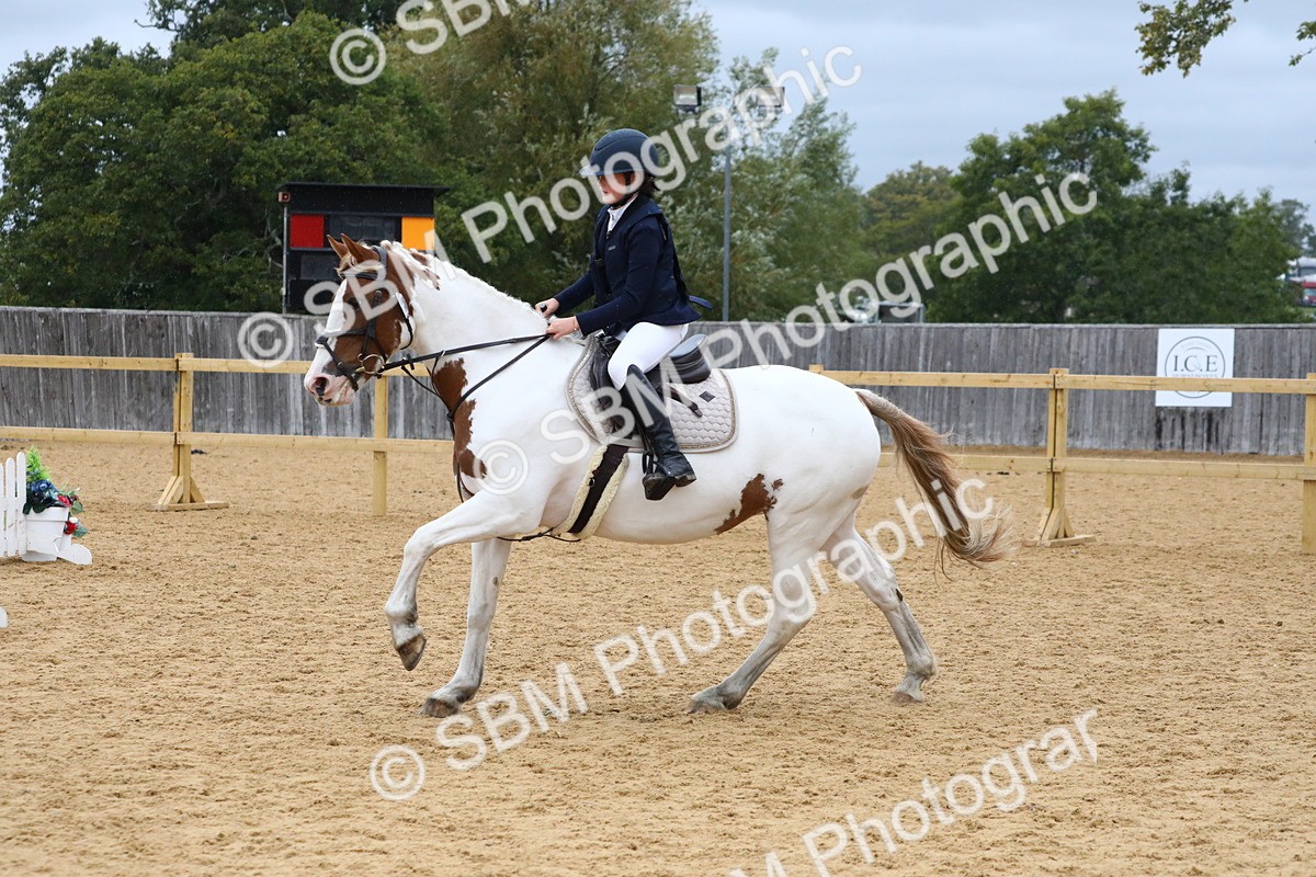 SBM_71969 - J3b - Mini Tour Junior Pony 40cm Championship