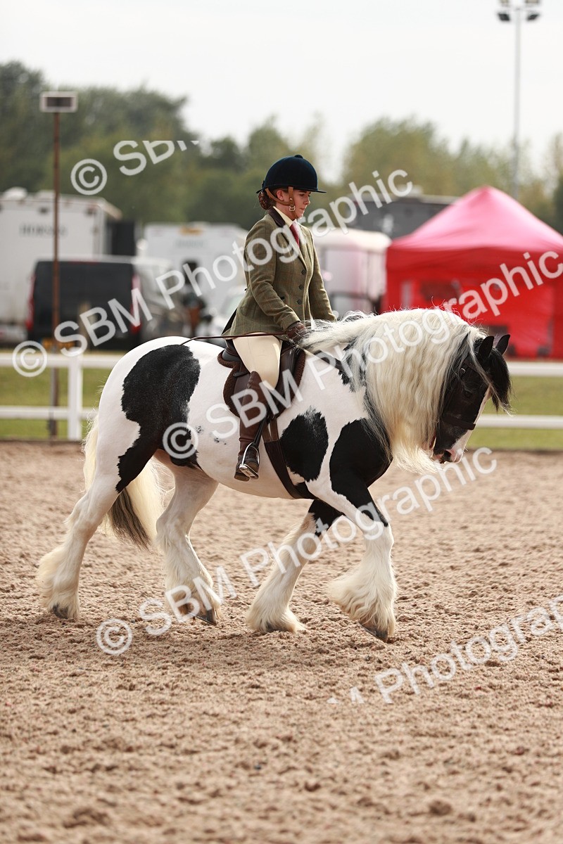 SBM_16778 - Class 214 Ridden Cob