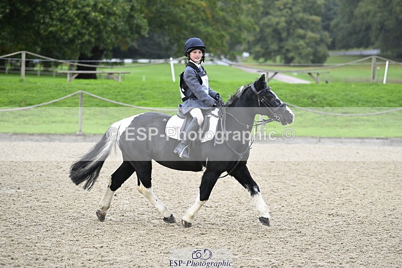 251005A-082945-02792 - Cls 01 GR 40cm