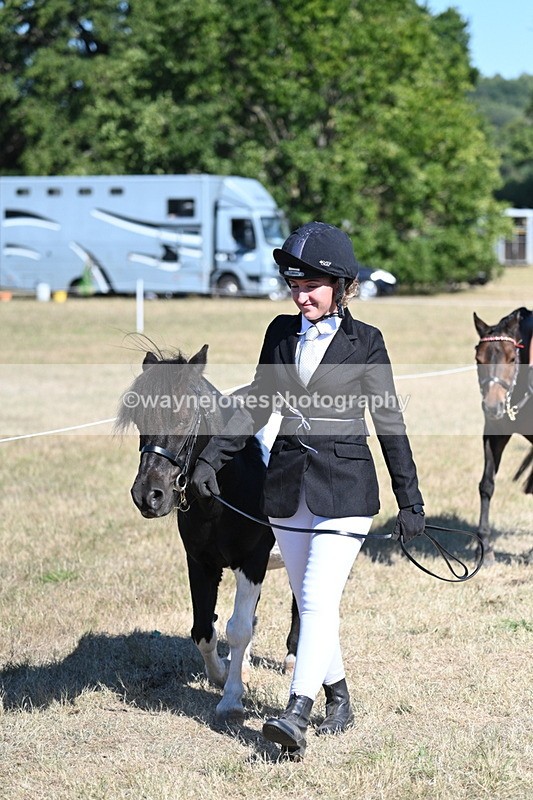 WJ7_1852 - Class 43 Best Six Legs (In hand)