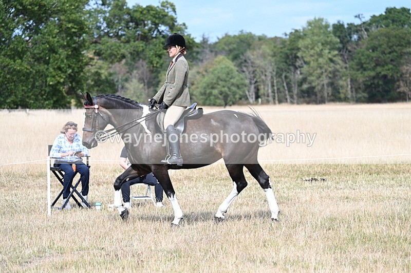 WJ7_5889 - Class 13 Ridden Veterans