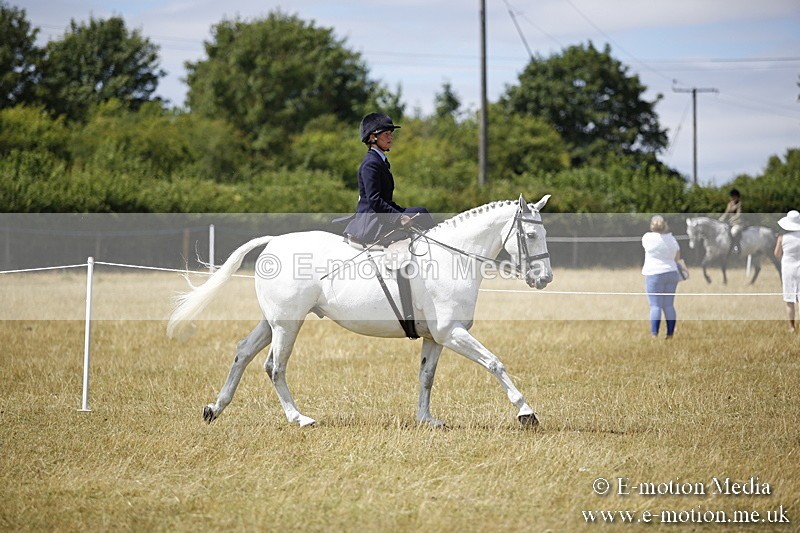 _C7A0217 - Side Saddle Classes BVRC Show 2018