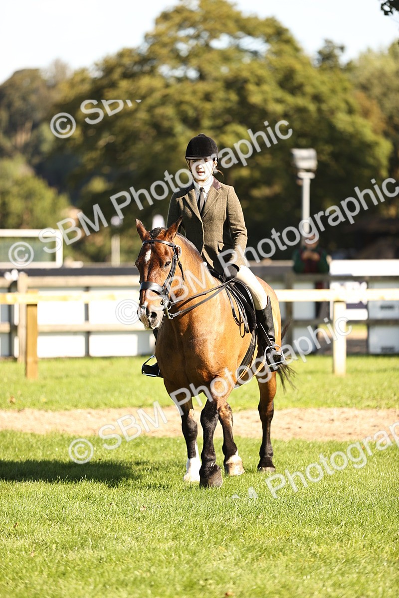 SBM_19119 - S3 - TSR Ridden Pony Showing