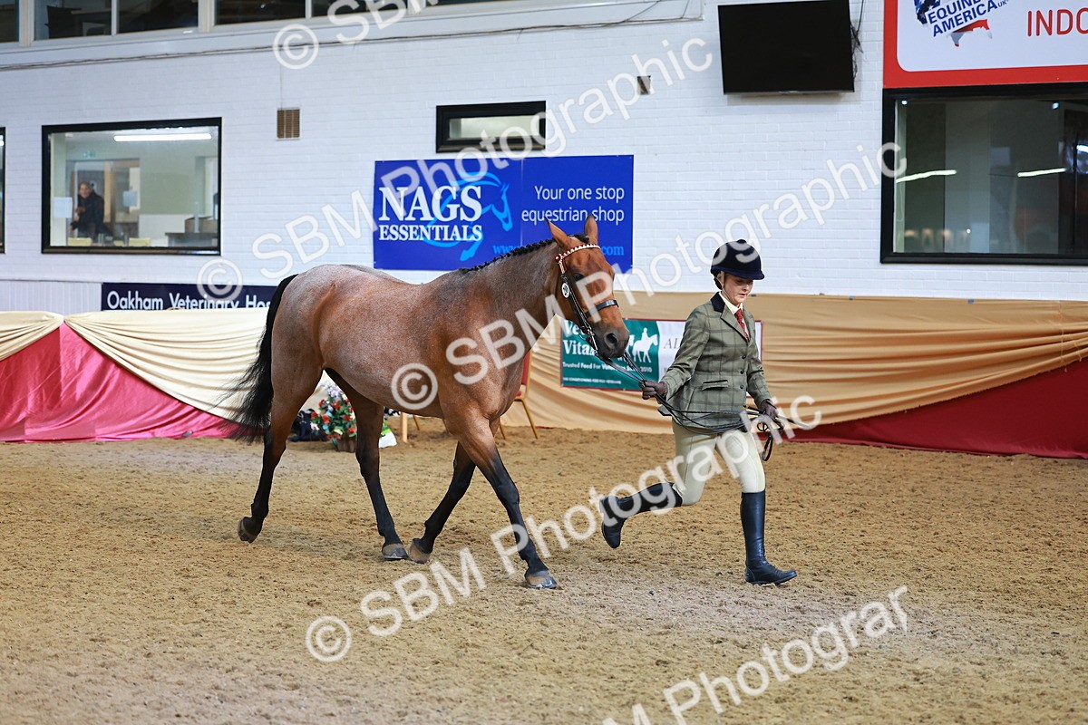 SBM_09553 - Class 102 - HOYS Veteran Qualifier - Ridden Veteran