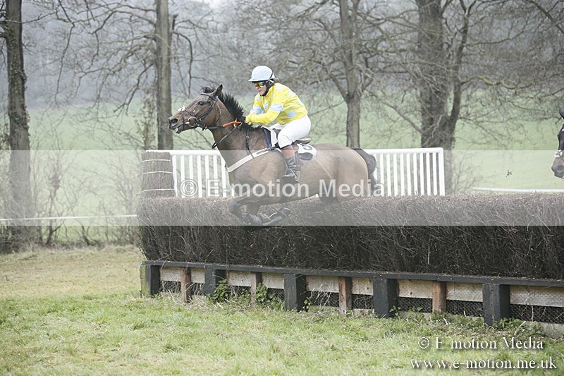 PtP 020418 -313 - Old Berks Point-to-Point Races Easter Monday 02/04/18