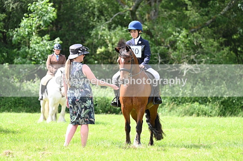 WJ7_1370 - Class 11 Condition & Turnout