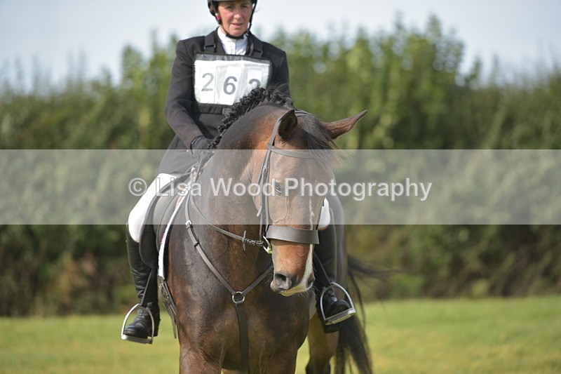 RAY_7904 - Class 2B: Trekenning Open: Dressage