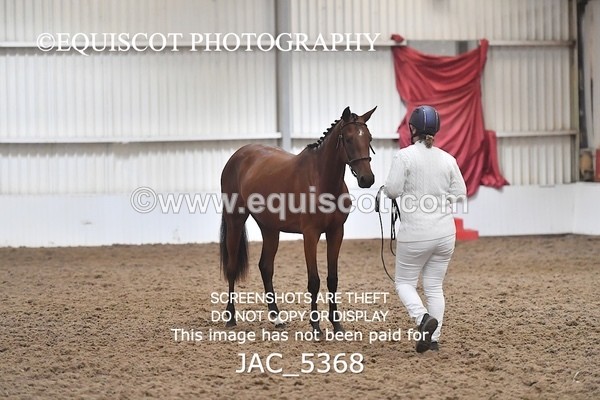 JAC_5368 - 7 L'Espirits Little Unicorn