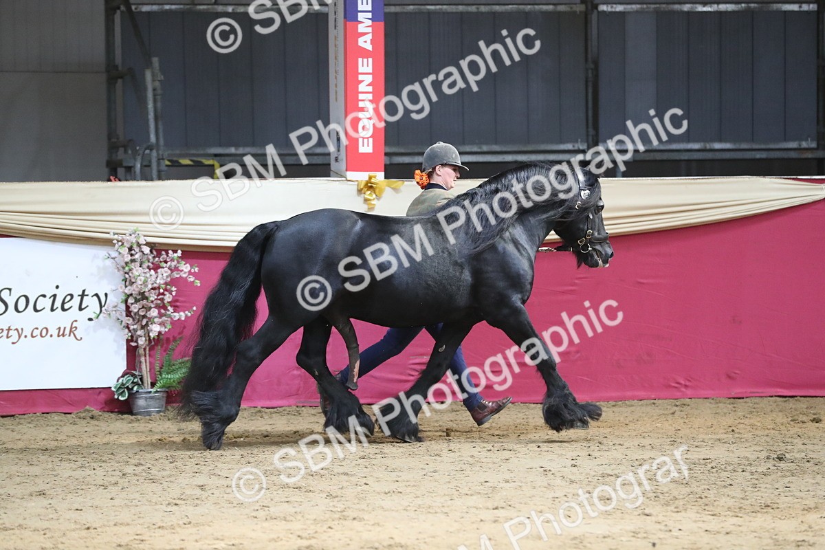 SBM_06527 - Regional IH Champ