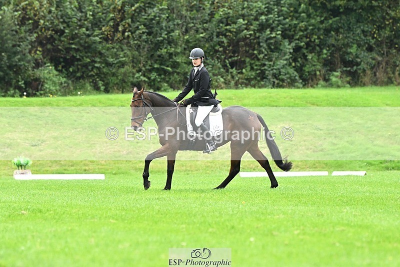 241024-111124-03159 - 504-Harry.Robinson-WHAT.A.WONDER