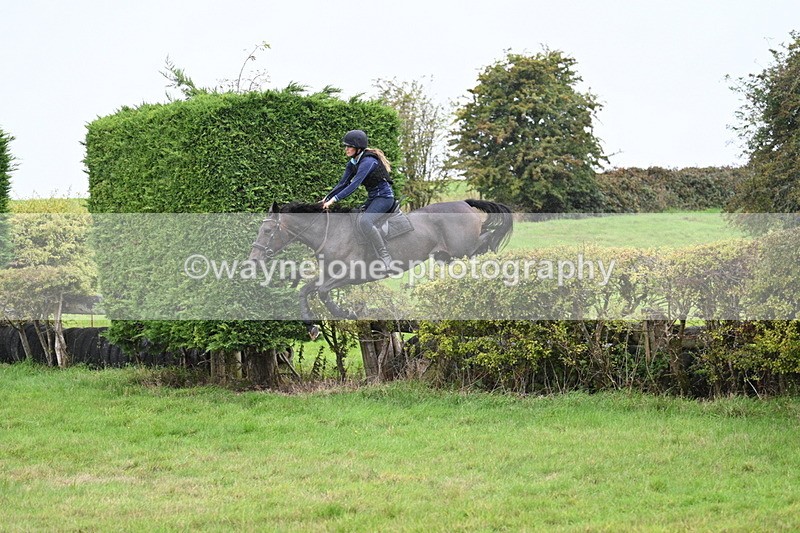 WJ7_9137 - Time 13:31 to 14:00