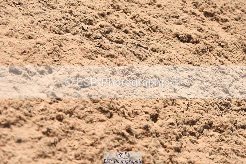 230906A-140224-00545 - Foxhunter & 1.20m Open