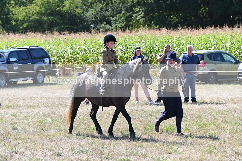 WJ6_7961 - Class 36 Lead Rein