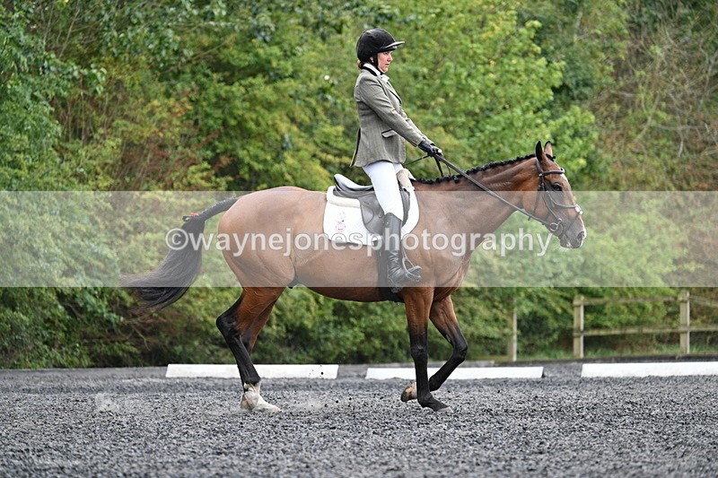 WJ7_6454 - Time 11:38 to 12:03